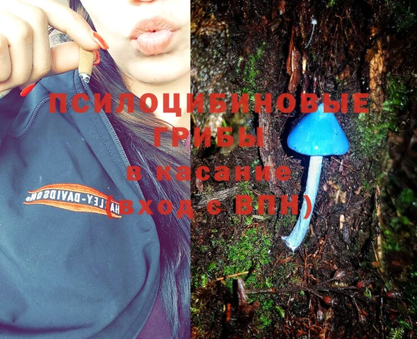 spice Киреевск