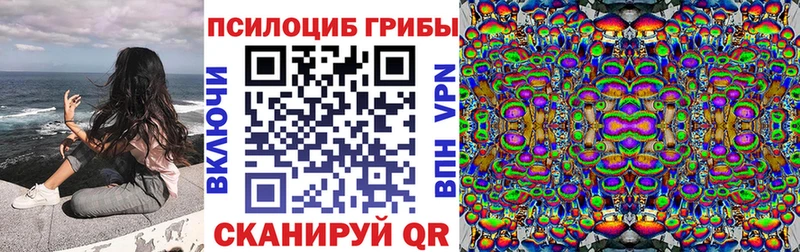 Купить закладки  Данков  Галлюциногенные грибы MAGIC MUSHROOMS 
